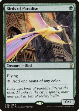 RNA Guild Kit