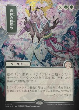 森林の目覚め